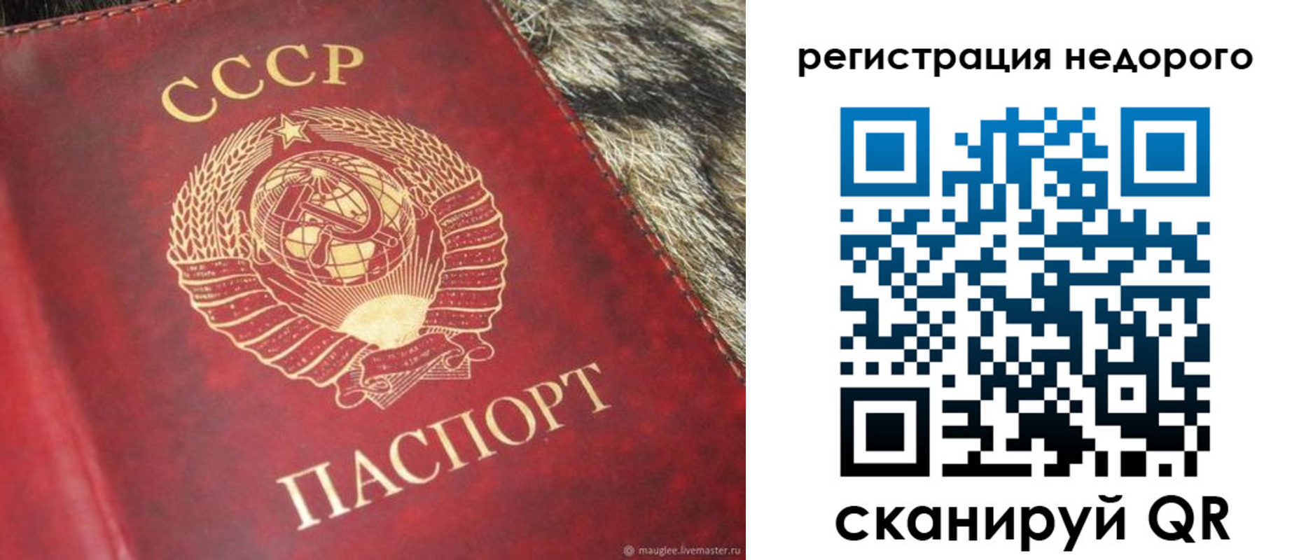 прописка ребенка в Сасово